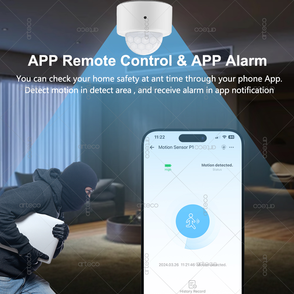 Ewelink Zigbee PIR Motion Sens - Smart Home Ir review and price