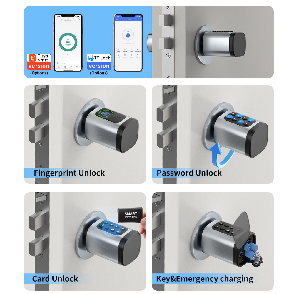 RAYKUBE V1 Tuya BLE TT Lock Sm - Smart Home Keyestudio review and price