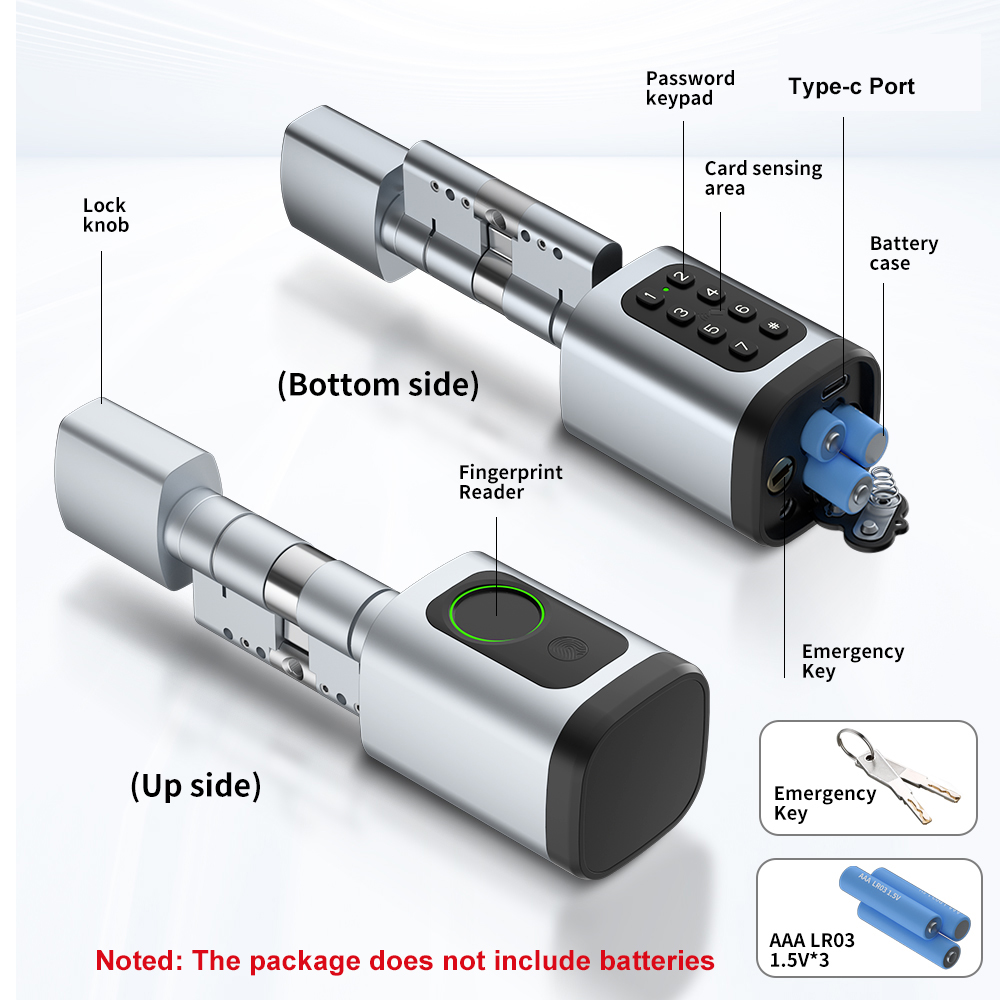 RAYKUBE V1 Tuya BLE TT Lock Sm - Smart Home Keyestudio review and price